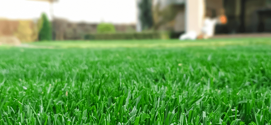 Prosper Organic Lawn Treatments