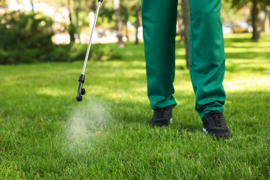 lawn care service in McKinney, TX