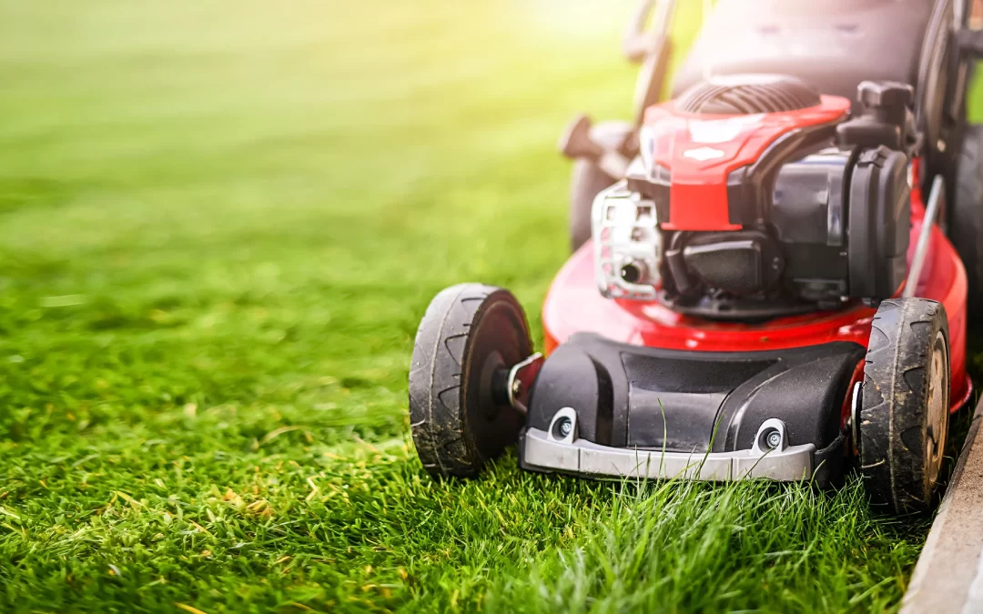 Seasonal Lawn Care Strategies: Tailoring Treatments to Your McKinney Climate