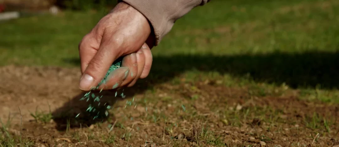 Fall Lawn Aeration & Overseeding in North Texas