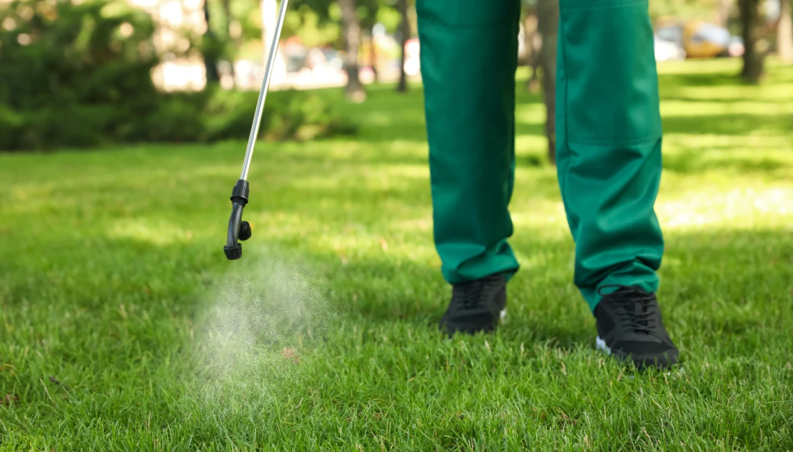 crabgrass prevention in mckinney and frisco