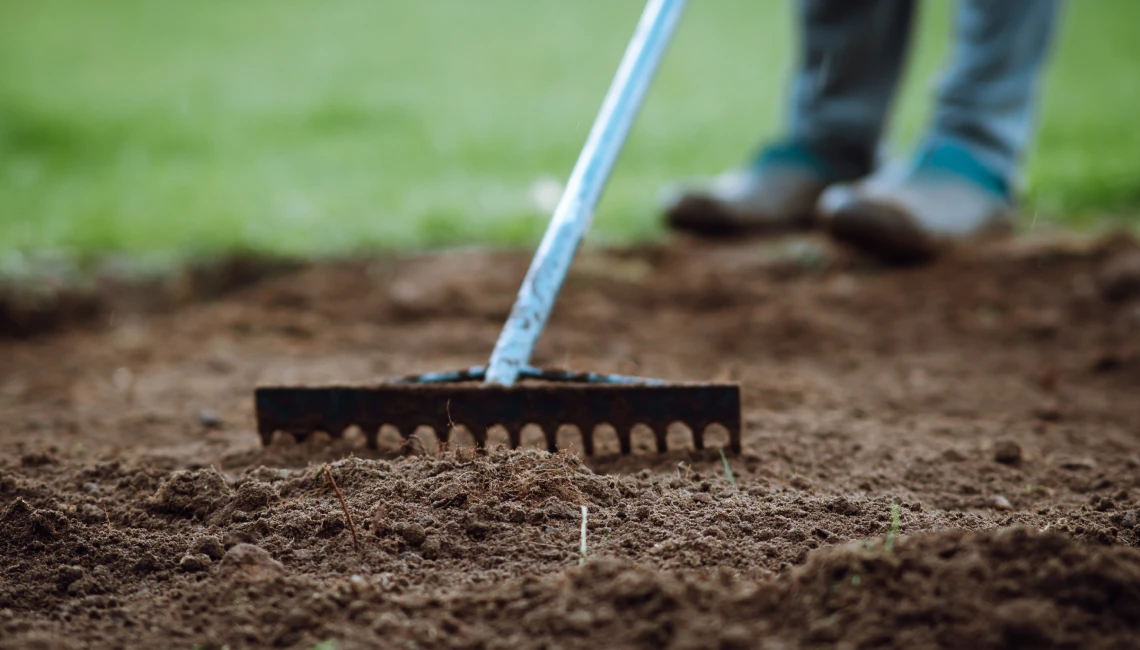 organic lawn treatments for mckinney and allen