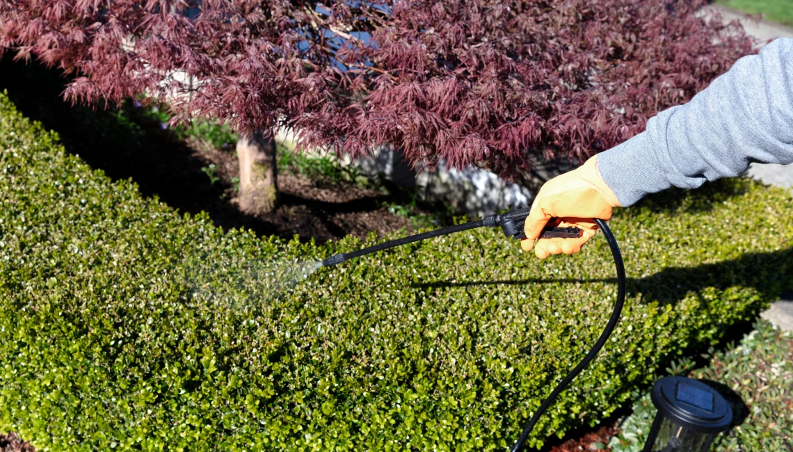professional shrub fertilization allen tx