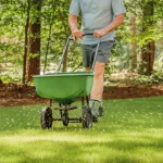 When to Fertilize Lawn McKinney: The Collin County Calendar Every Homeowner Needs when to fertilize bermuda grass north texas